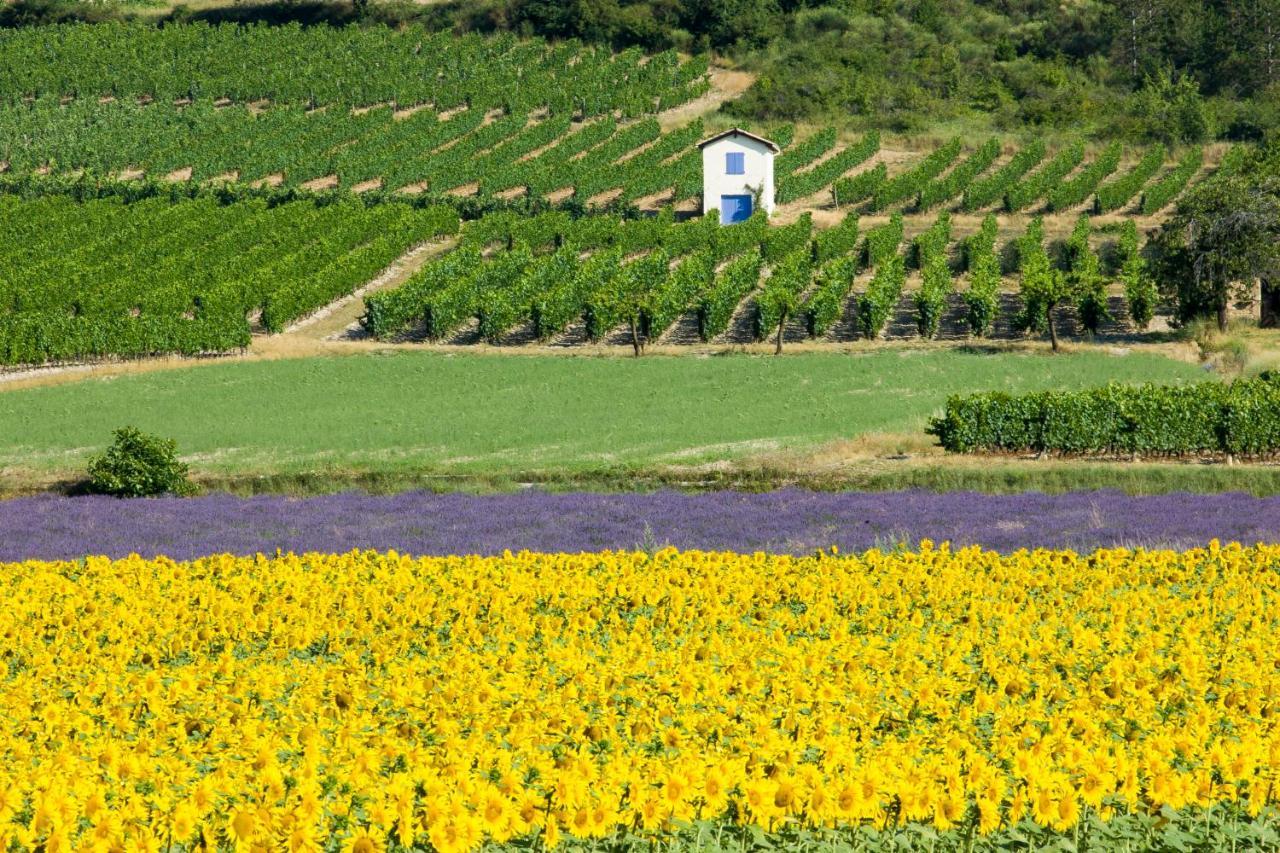 Le Mazet Sainte-Jalle, Piscine Chauffee, Jardin Clos, Barbecue En Baronnies Provencales Zewnętrze zdjęcie